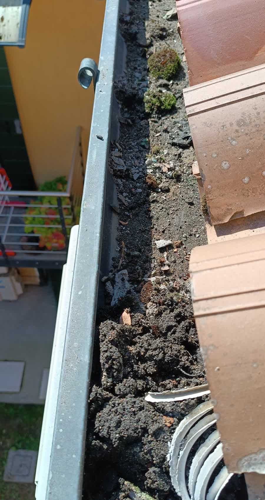 Pulizia Grondaia